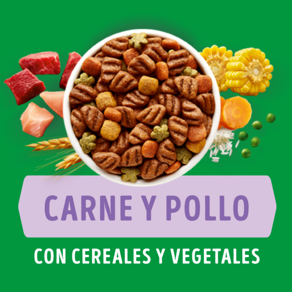 Dog Chow Cachorro Raza Pequeña 24 KG - Imagen 5