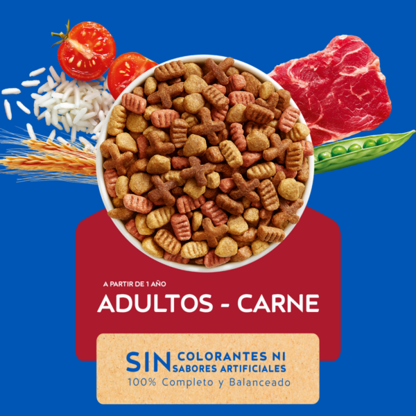 Cat Chow Delicia de Carne 24 KG - Imagen 3