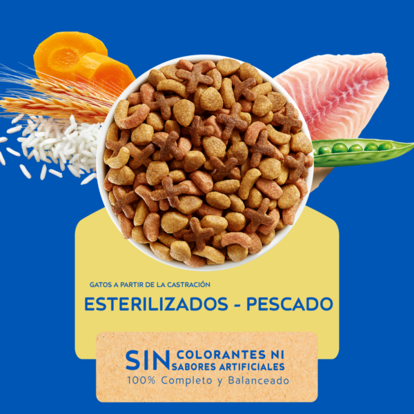 Cat Chow Esterilizado Defense Plus 24 KG - Imagen 3