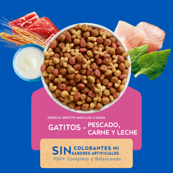 Cat Chow Gatitos 3 KG - Imagen 3