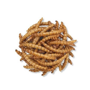 Alimento para Erizos Tira 10 Unidades Tenebrios 200 GR