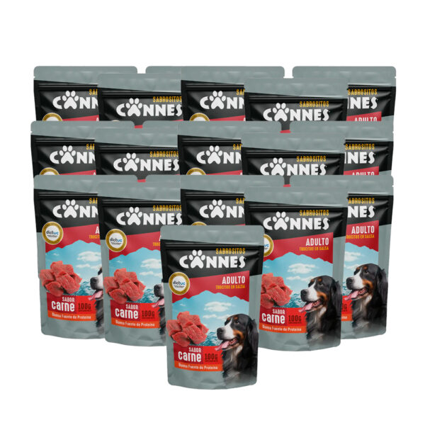 Caja Sachet Cannes Carne 100 GR 24 Unidades - Imagen 2