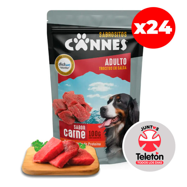 Caja Sachet Cannes Carne 100 GR 24 Unidades