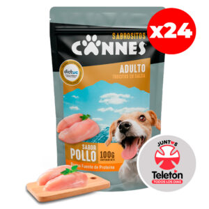 Caja Sachet Cannes sabor Pollo 100 GR 24 Unidades