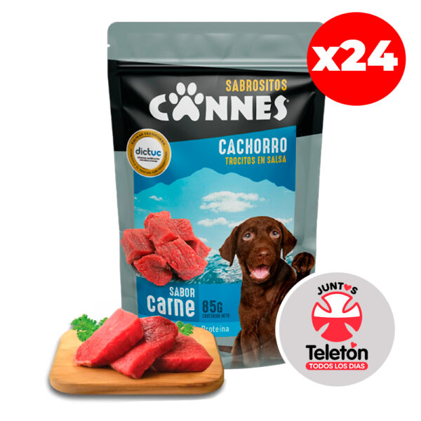 Caja Sachet Cannes Cachorro Carne 85 GR 24 Unidades