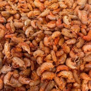 Alimento para Tortugas Peces Pulgas 1 KG