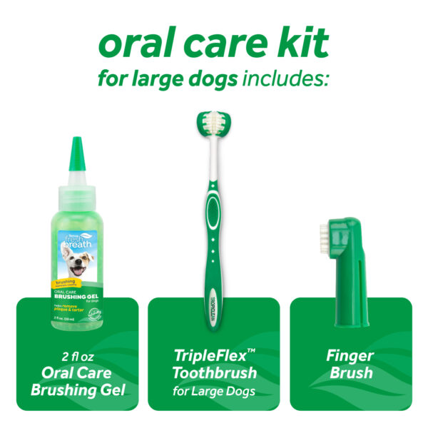 Kit Dental Oral Removedor de Placa - Large For Regular Tropiclean (TR-46) - Imagen 2