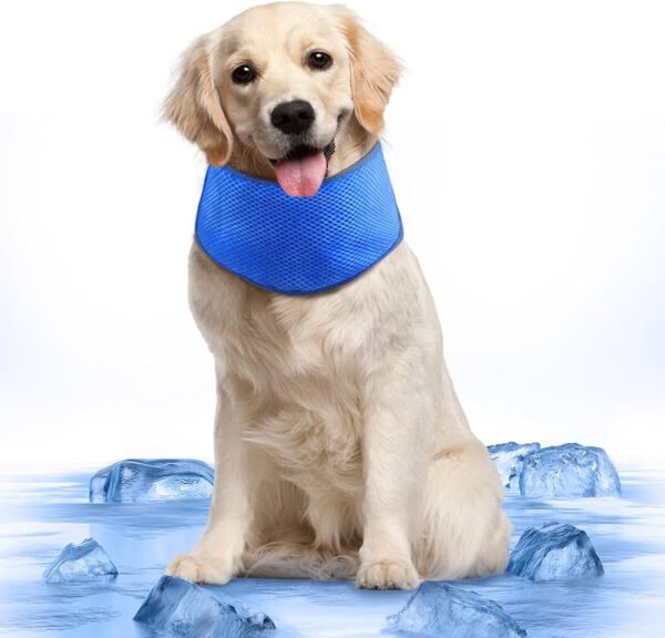 Bandana Mascotas PVA Refrescante Talla M 28-40cm (79219) - Imagen 5