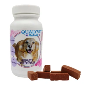 Suplemento Vitaminico Protector Hepático 120 GR Qualyvit