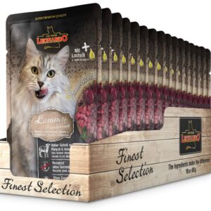 Sachet Leonardo Gato Cordero y Arándano 85GR 16 Unidades