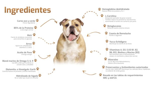 Bokato Adulto 10KG - Imagen 2