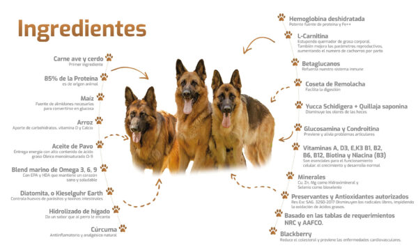 Bokato Gold Adulto 10 KG - Imagen 2