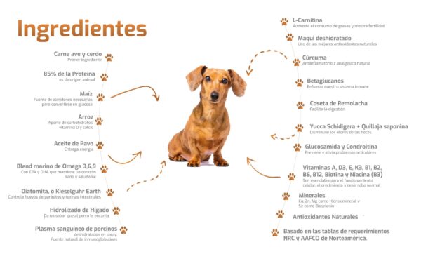 Bokato Petit Razas Pequeñas 10 KG - Imagen 2