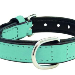 Collar Wonder Eco Cuero 2.5*47CM CM Colores