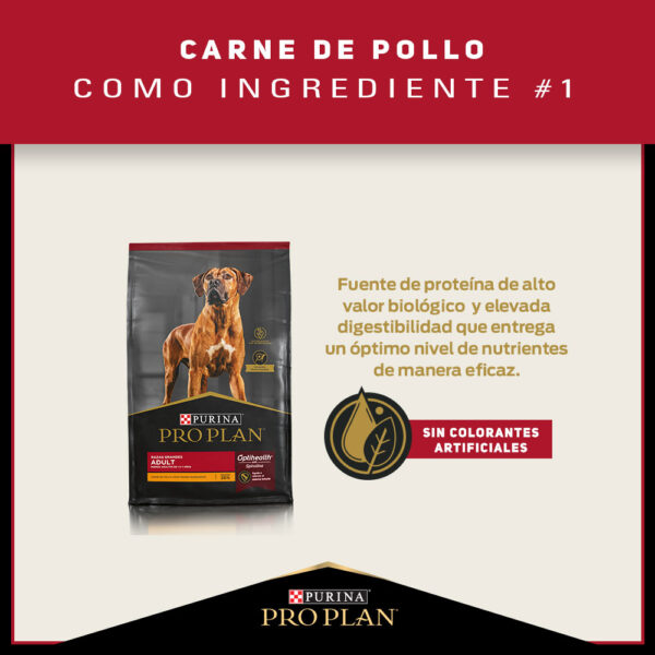 Pro Plan Adulto Razas Grandes 15 KG - Imagen 4