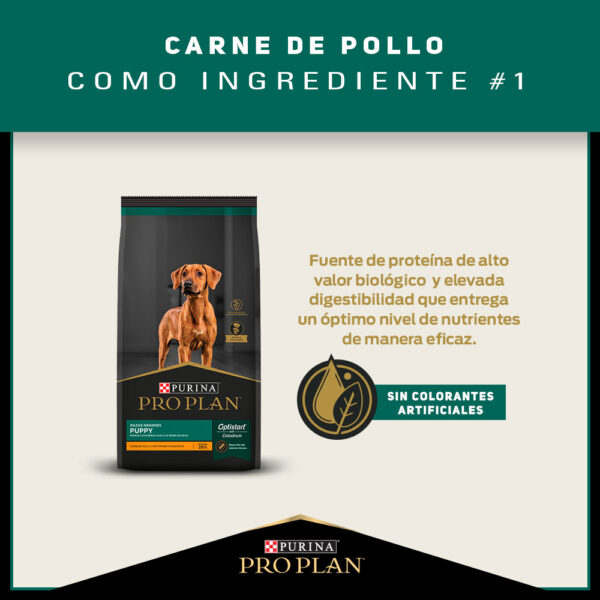 Pro Plan Puppy Razas Grandes 15 KG - Imagen 4