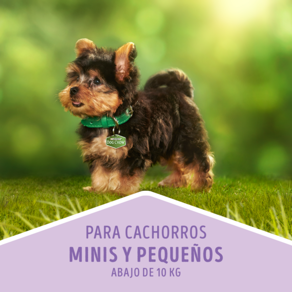 Dog Chow Cachorro Raza Pequeña 24 KG - Imagen 6