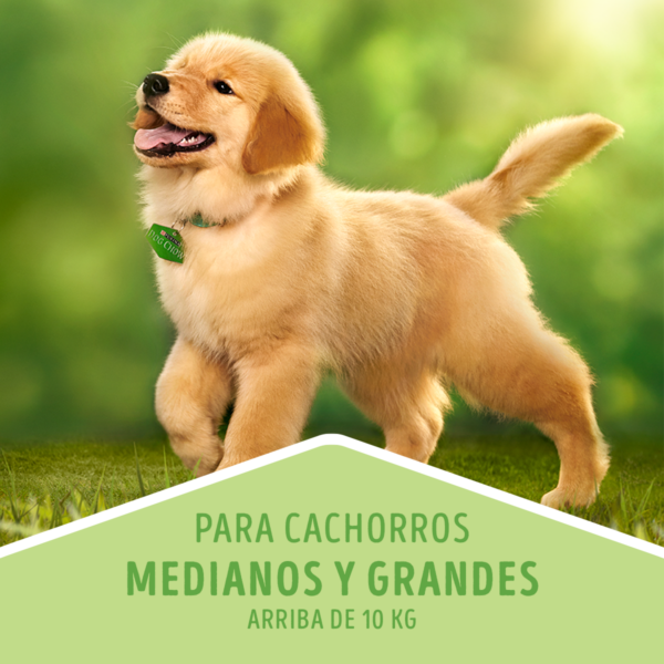 Dog Chow Cachorro 3 KG - Imagen 5