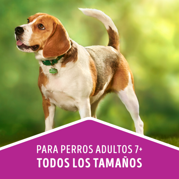 Dog Chow Senior 18 KG - Imagen 4