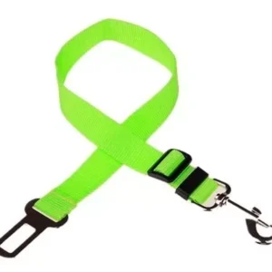 Cinturon Seguridad Autos Verde 2.5cm (AL197)