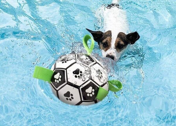 Juguete Pelota con Bombin 18cm (JYHW18) - Imagen 3