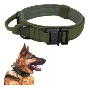 Collar Táctico Reforzado y Asa (BBT01-XL) XL
