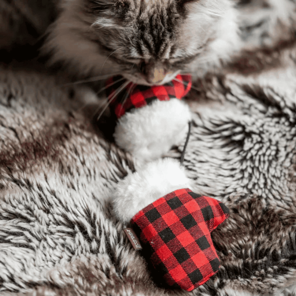 Juguete Gato Play Feline Frenzy Kitten Mittens (PY7126GSF) - Imagen 5
