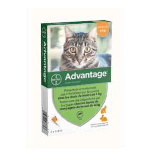 Pipeta Advantage Gato 0.4 ml Hasta 4 KG