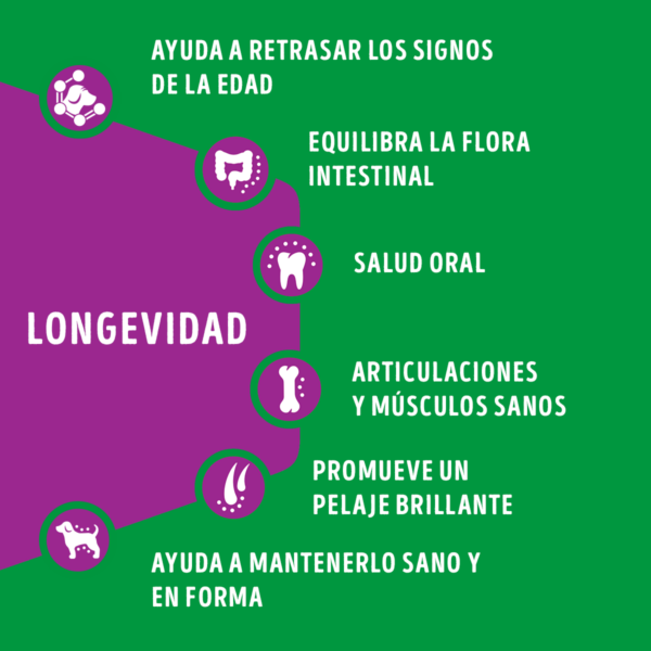 Dog Chow Senior 18 KG - Imagen 5