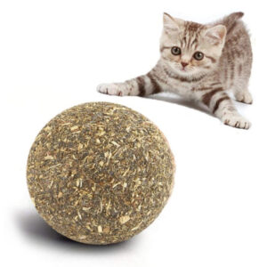 Juguete Bola Catnip Wonder Cat 5 cm (WPS343)