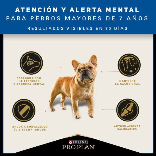 Pro Plan Active Mind Razas Pequeñas 7.5 KG - Imagen 6