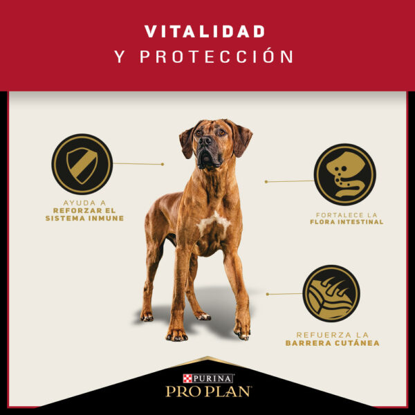 Pro Plan Adulto Razas Grandes 15 KG - Imagen 3