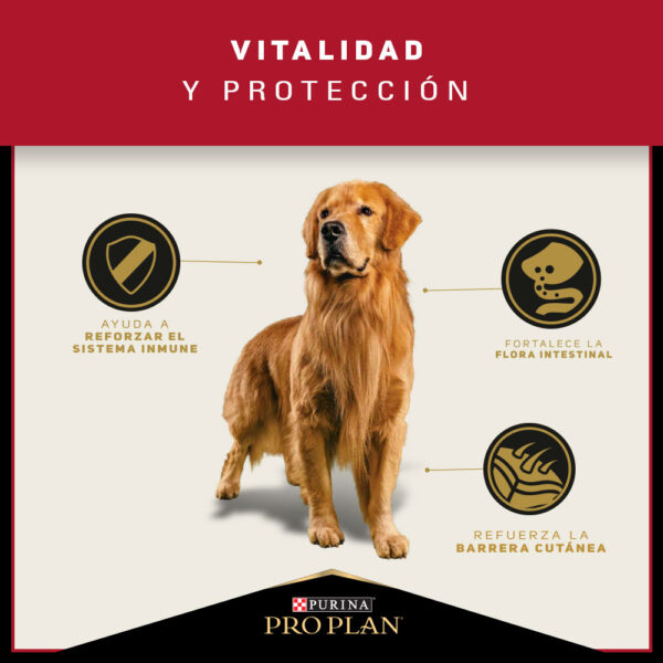 Pro Plan Adulto Razas Medianas 3kg - Imagen 5