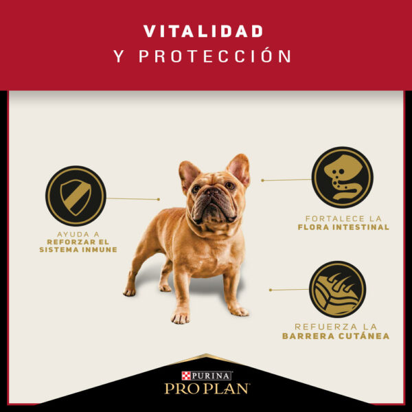 Pro Plan Adulto Razas Pequeñas 7.5kg - Imagen 8