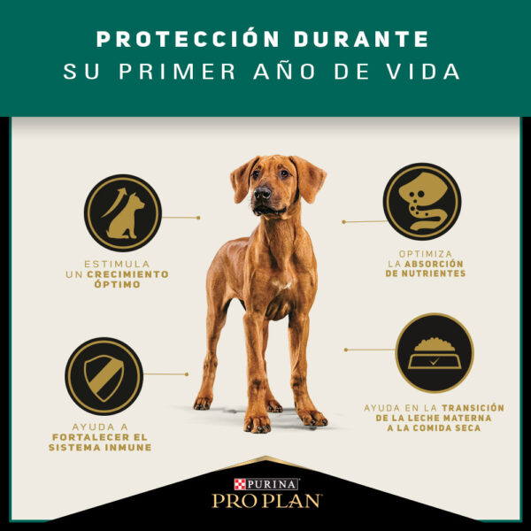 Pro Plan Puppy Razas Grandes 15 KG - Imagen 3