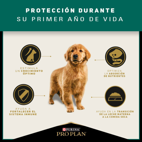 Pro Plan Puppy Razas Medianas 3 KG - Imagen 4