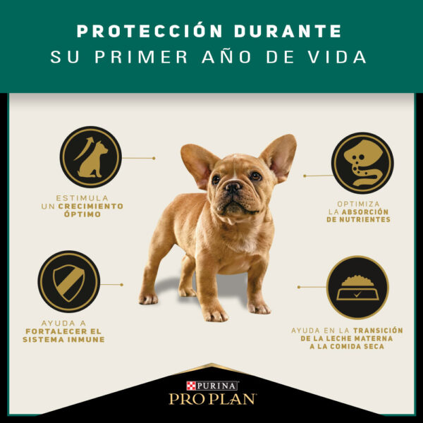 Pro Plan Puppy Razas Pequeñas 3 KG - Imagen 7