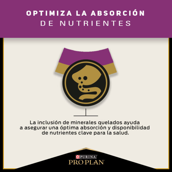 Pro Plan Cat Urinary 3 kg - Imagen 5