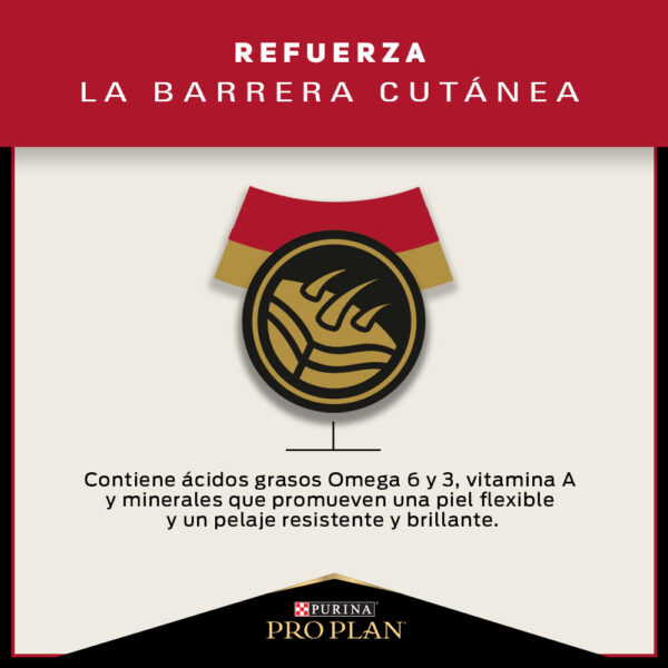 Pro Plan Adulto Razas Pequeñas 7.5kg - Imagen 3