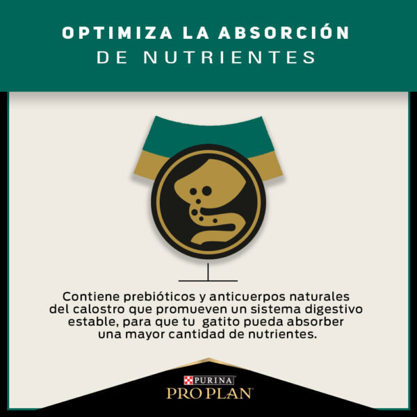 Pro Plan Cat Kitten 3 kg - Imagen 3