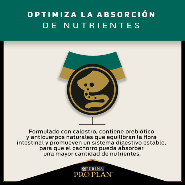 Pro Plan Puppy Razas Pequeñas 3 KG - Imagen 4