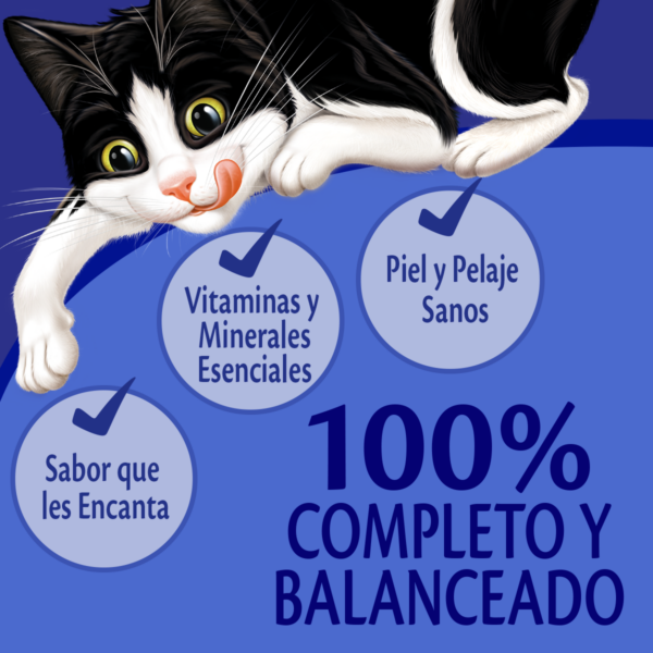 Sachet Felix Salmón Salsa x15 - Imagen 3