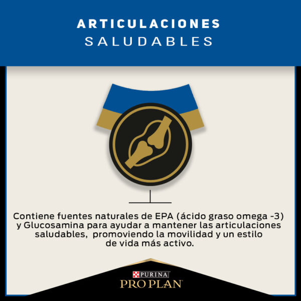 Pro Plan Active Mind Razas Pequeñas 7.5 KG - Imagen 3