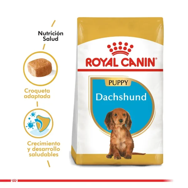 Royal Canin Dachshund Junior Puppy 2.5 KG - Imagen 2
