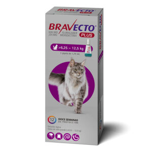 Bravecto Gato Plus 500 MG (6.25-12.5KG)