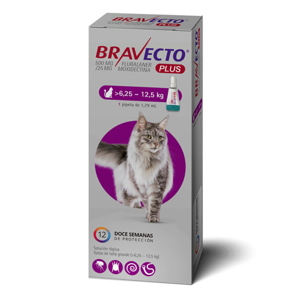 Bravecto Gato Plus 500 MG (6.25-12.5KG)
