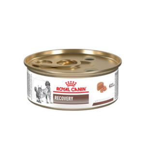 Royal Canin Lata Recovery Perro Gato 145 GR