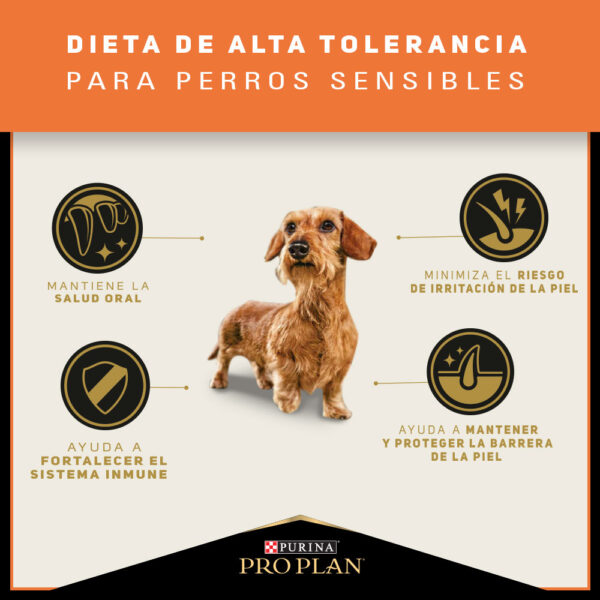 Pro Plan Sensitive Skin Salmón Razas Pequeñas 3 KG - Imagen 4