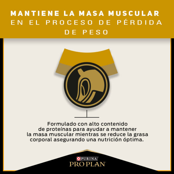Pro Plan Reduced Calorie Razas Pequeñas 3 KG - Imagen 6