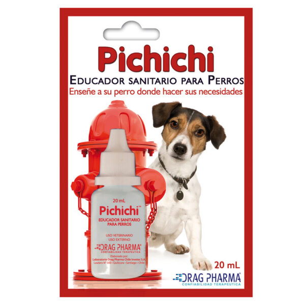 Pichichi Educador